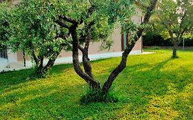 Il Melograno